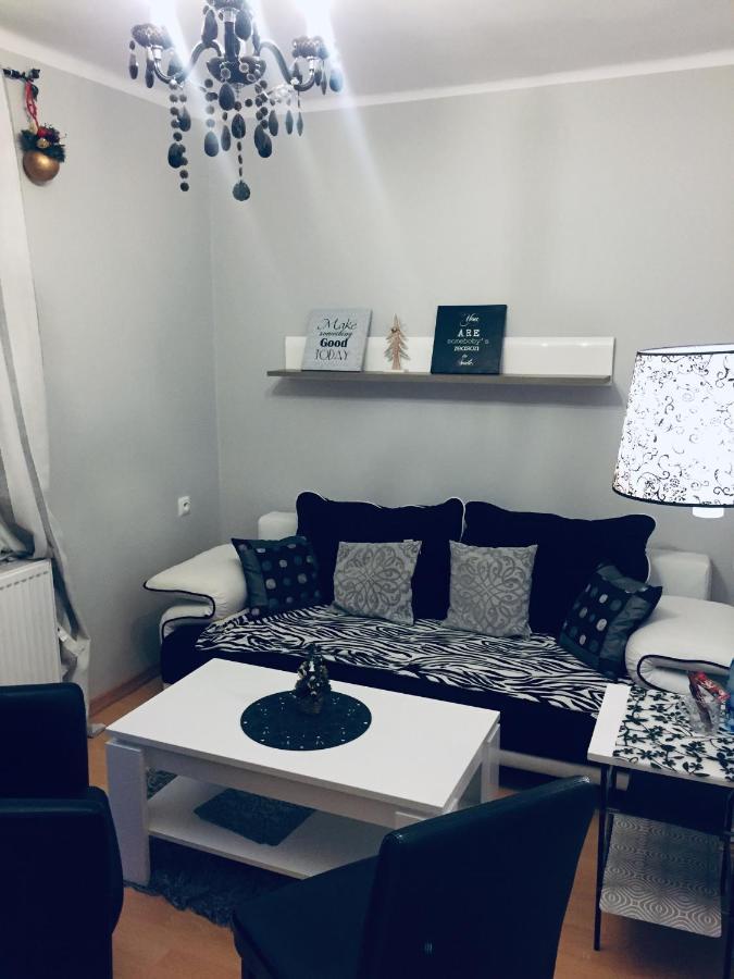 Willa Pod Stara Skocznia 비스와 외부 사진